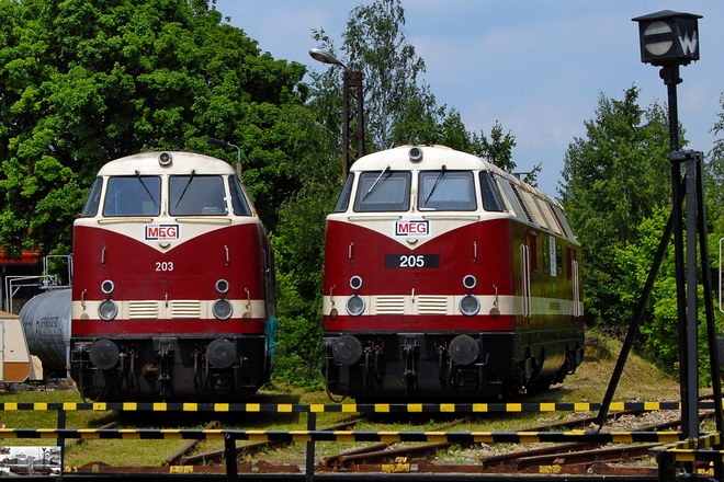 MEG 203